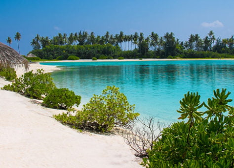 Malé