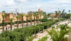 Quoi faire à Agadir : 12 choses à voir en visite à Agadir